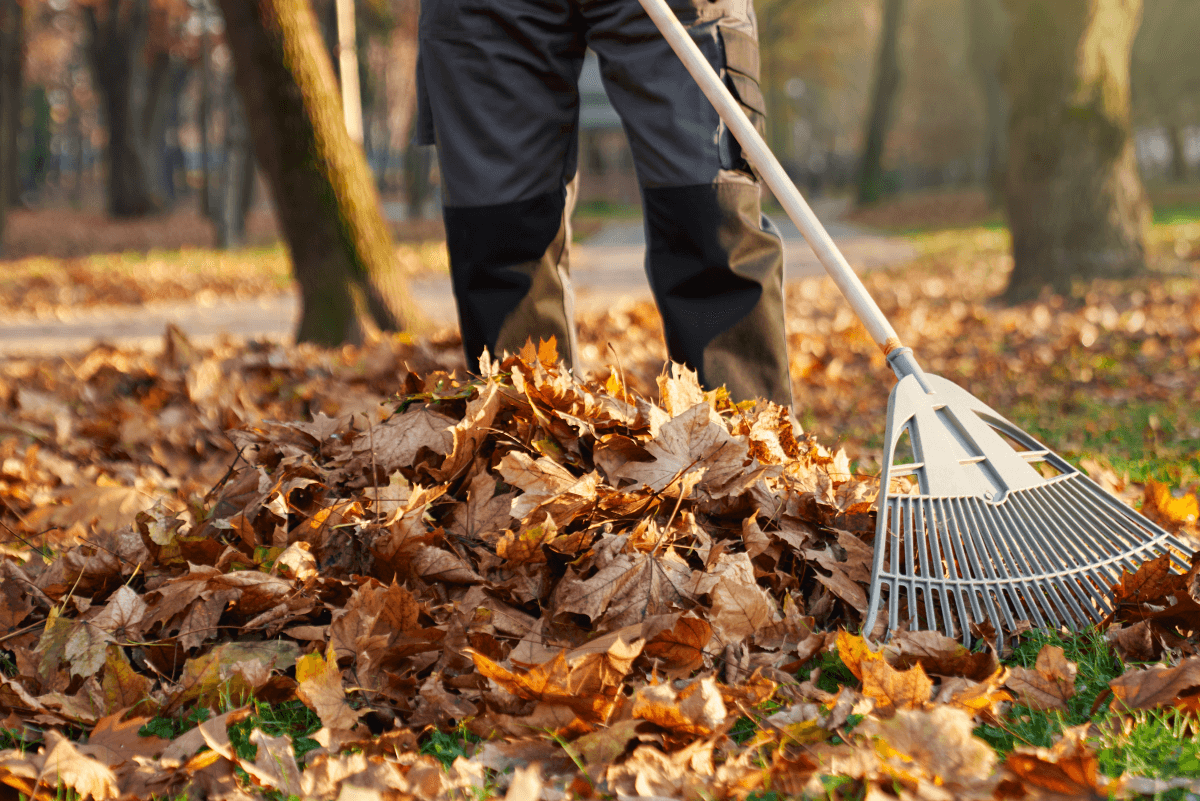 Landscaping services in Lancaster